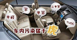 車內(nèi)甲醛正常值以及車內(nèi)放什么東西可以除甲醛？
