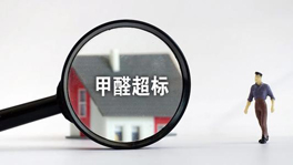 寵物們也會甲醛中毒？快看這些甲醛超標特征你家有沒有？